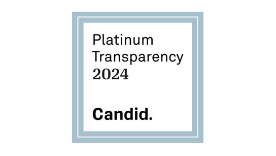 Platinum Transparency 2024
